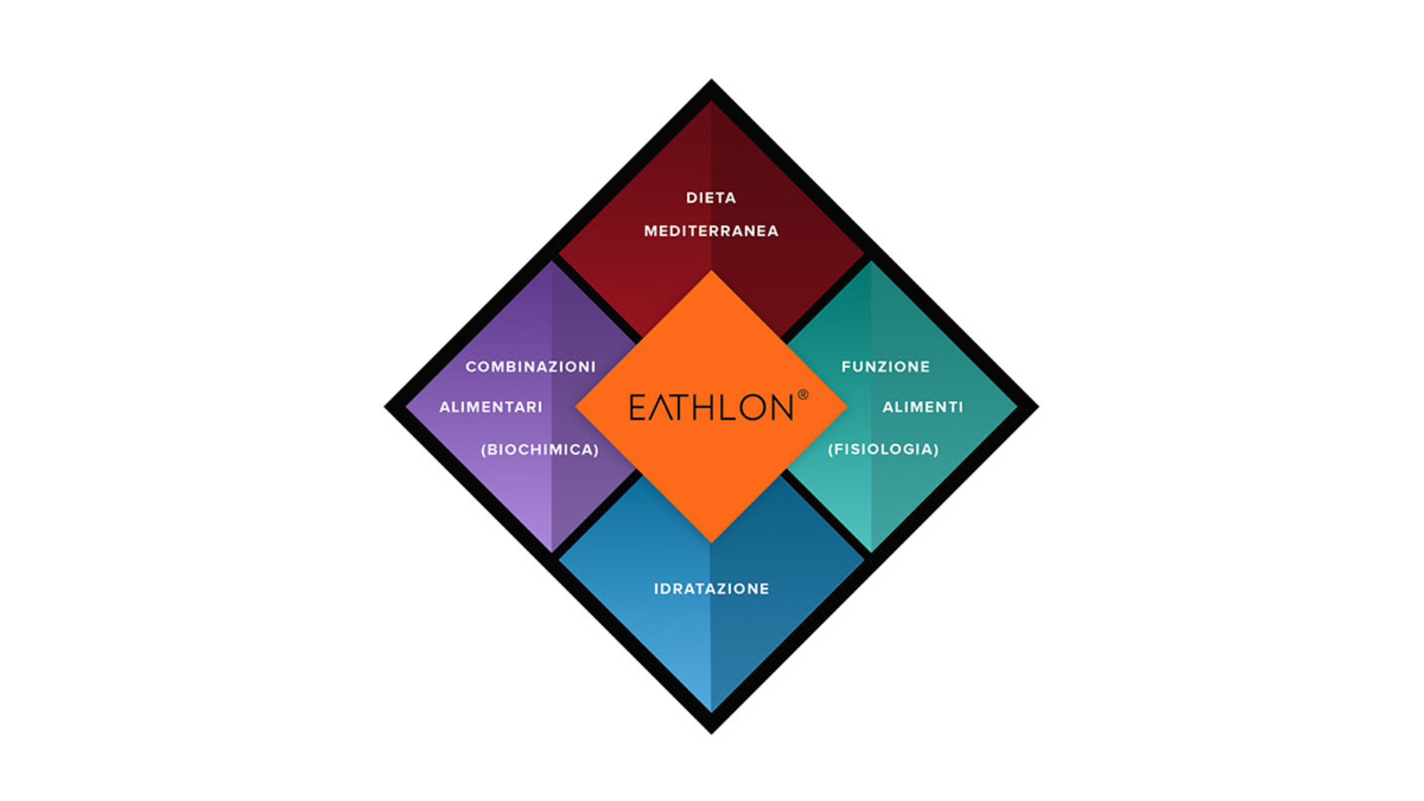 newarticleprotocollo